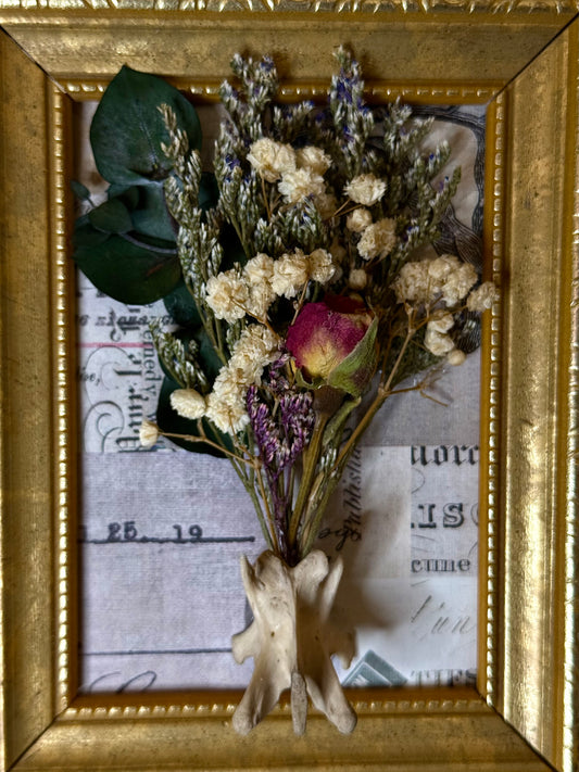 Bobcat vertebrate bouquet
