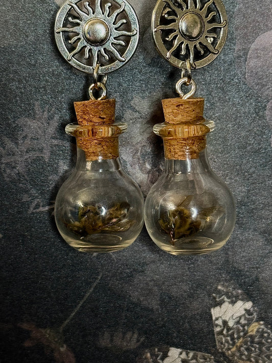 Sunny honeys bee earrings