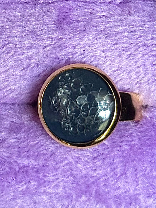 Leopard Gecko Shed rings