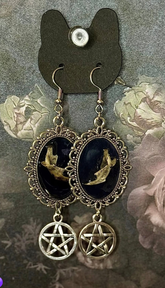 rodent mandible pentagram earrings