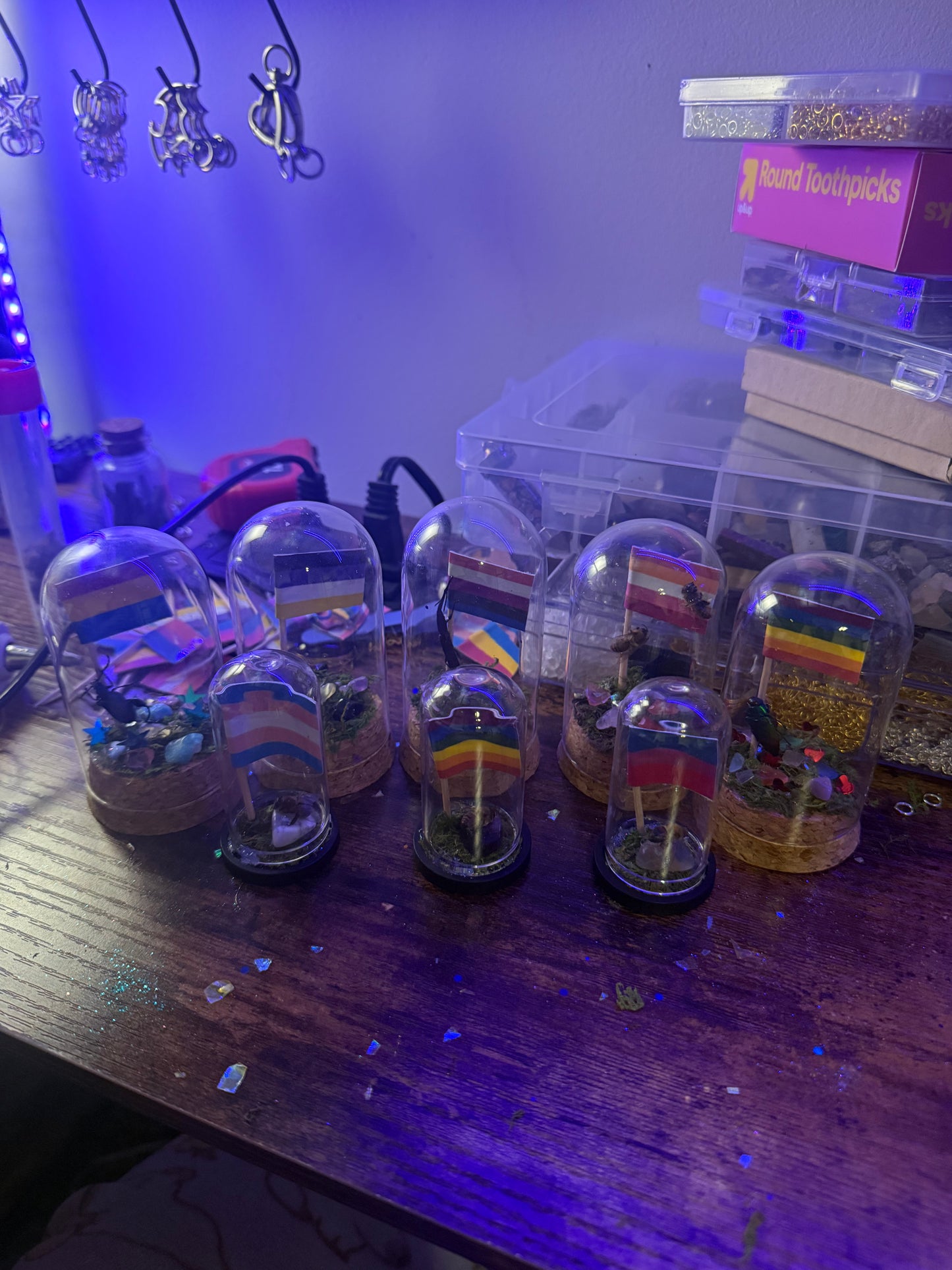 Bugs is Gay - Curio Jars