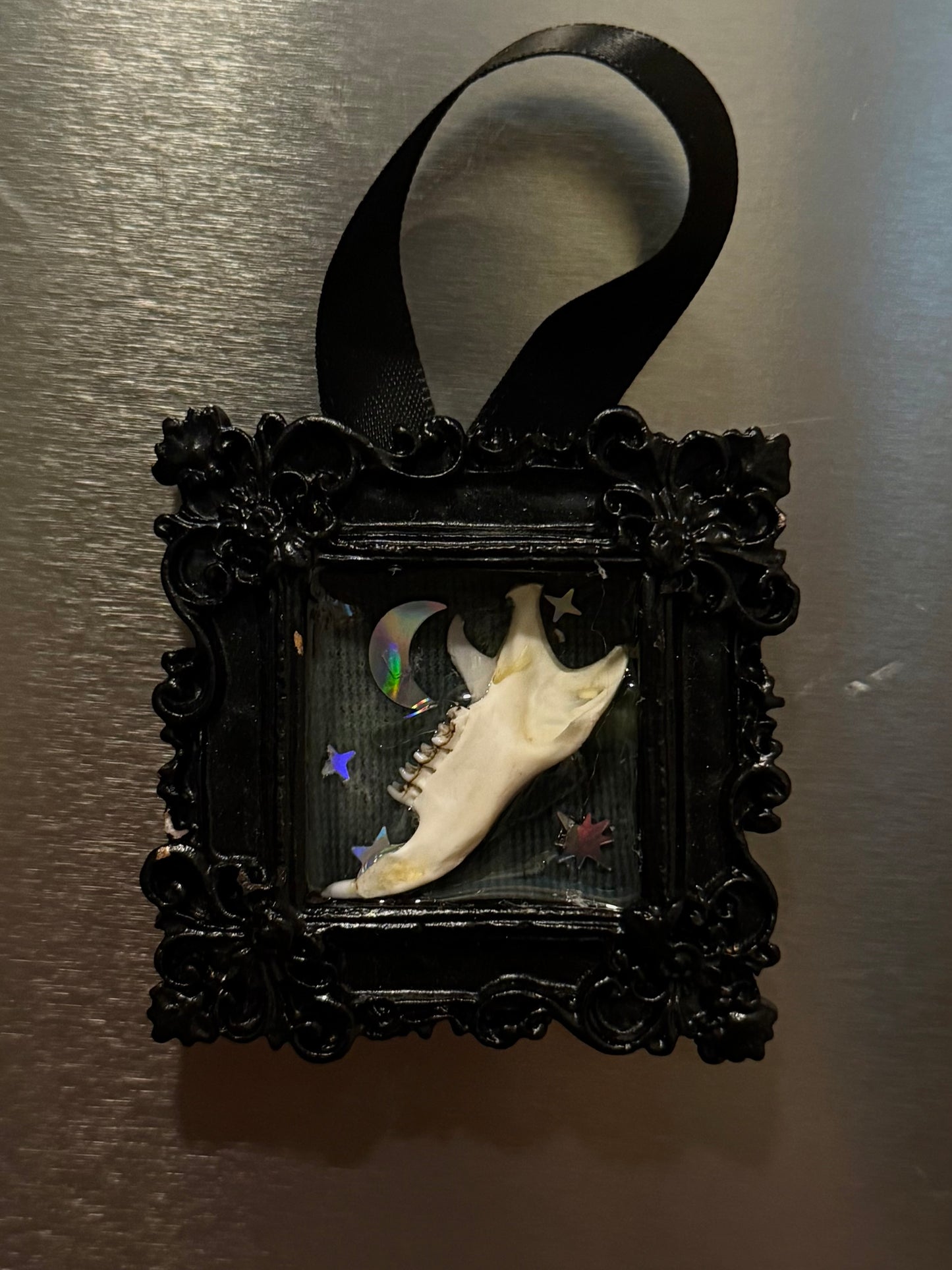 Mini Curio Frame Magnets