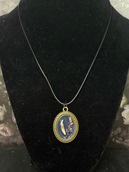 animal teeth necklaces