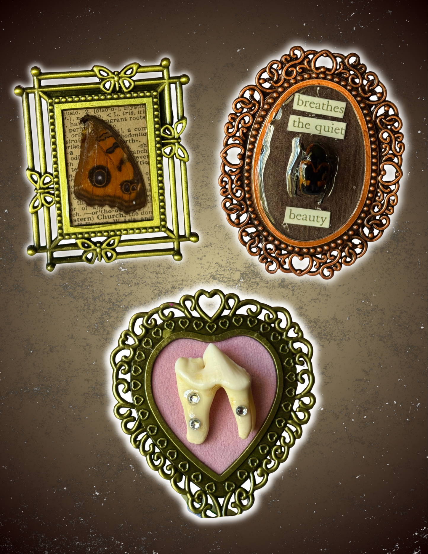 Mini Curio Frames
