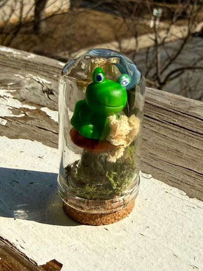 Mini Domes!