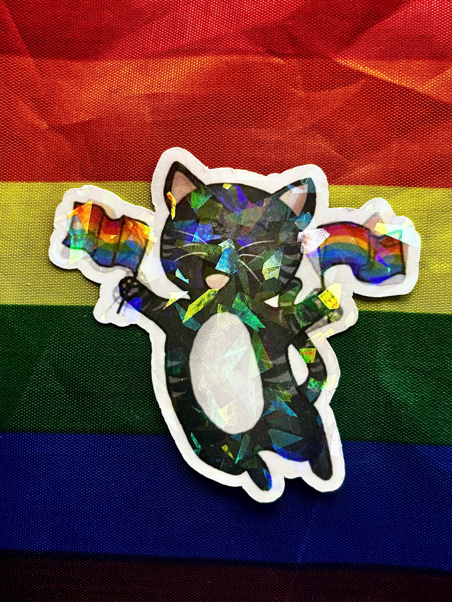 gay kitty