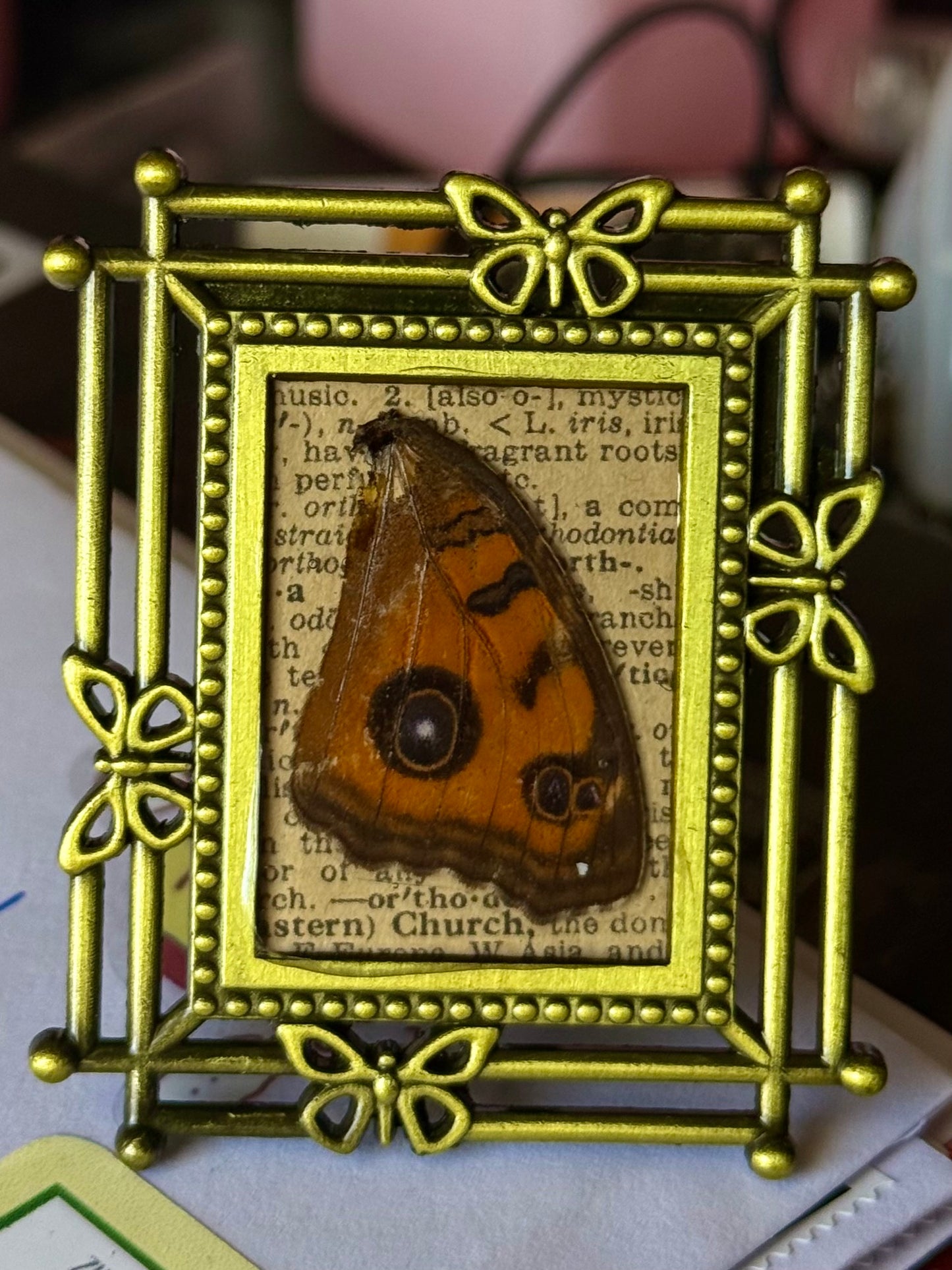 Mini Curio Frames