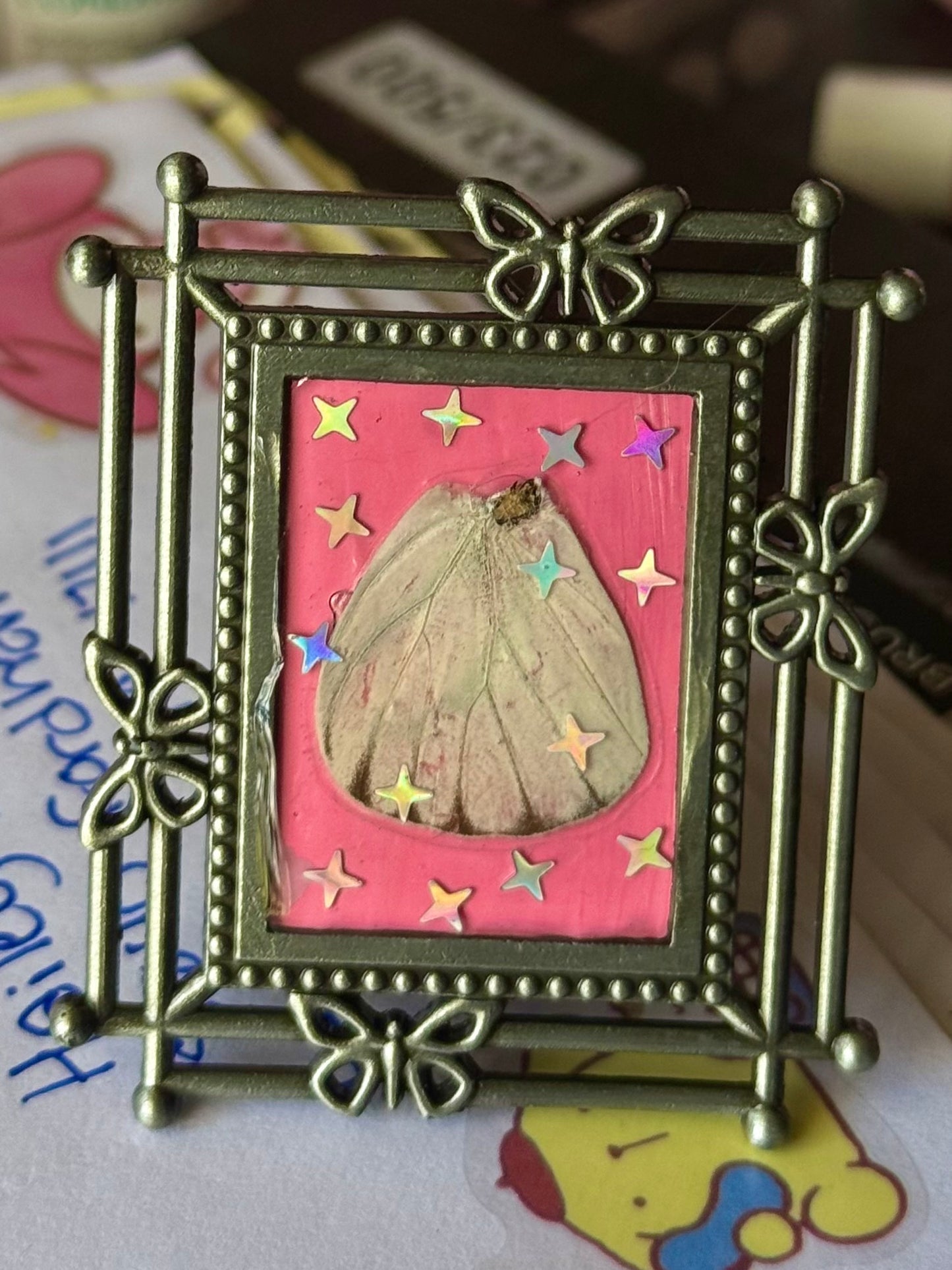 Mini Curio Frames