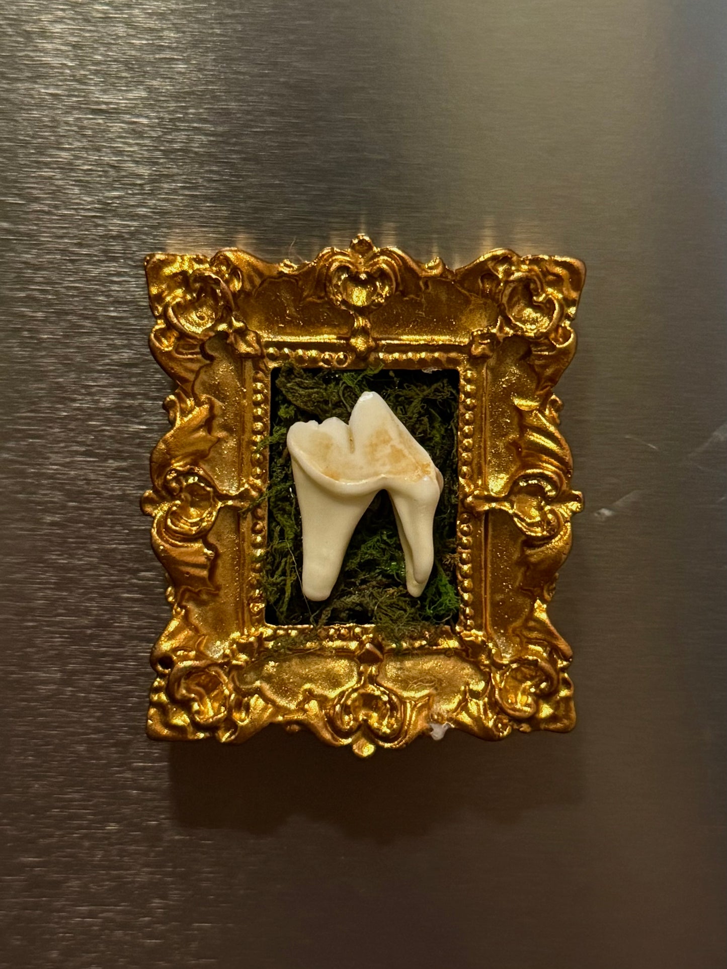 Mini Curio Frame Magnets