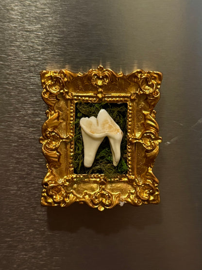 Mini Curio Frame Magnets
