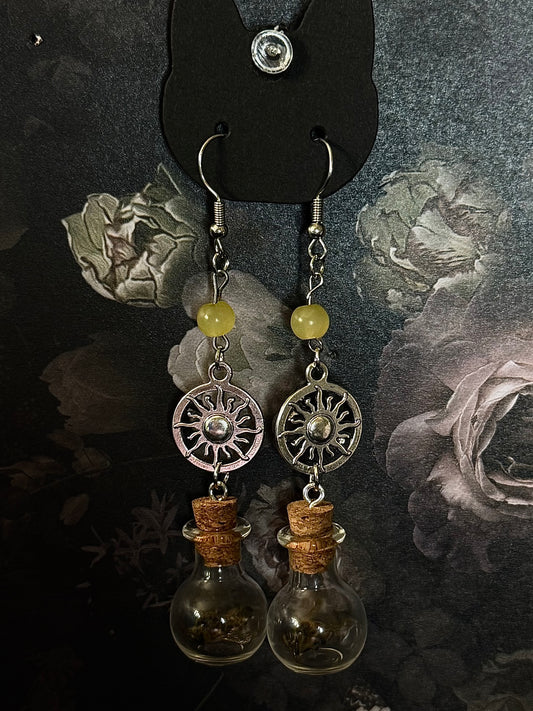 Sunny honeys bee earrings