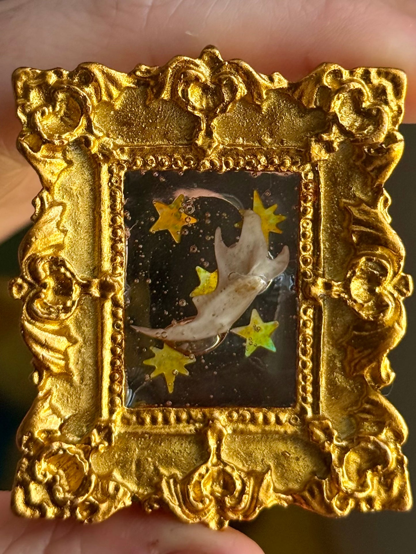 Mini Curio Frame Magnets