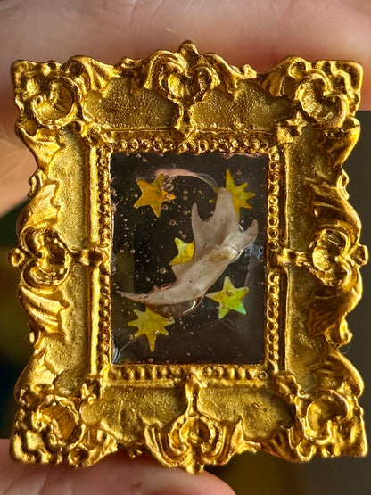 Mini Curio Frame Magnets