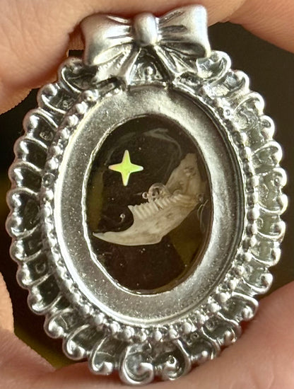 Mini Curio Frame Magnets