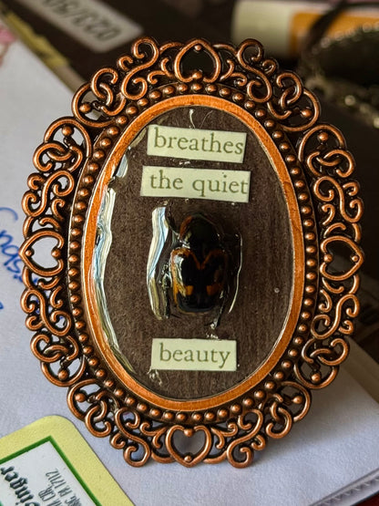 Mini Curio Frames