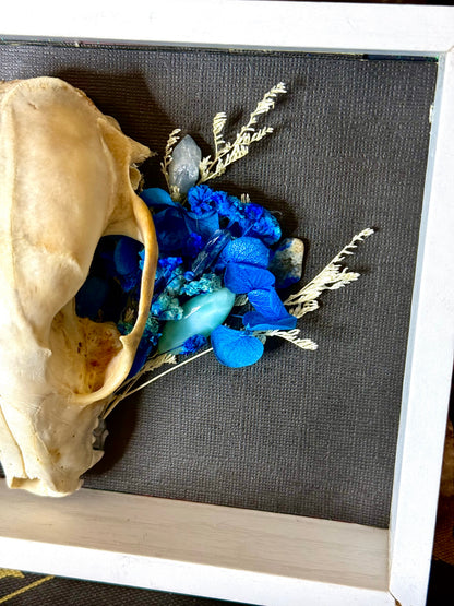 Raccoon skull frame w/ blue bouquet