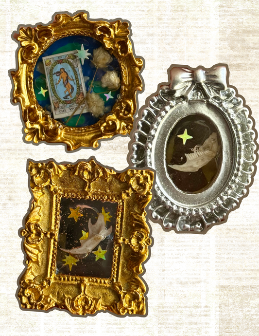 Mini Curio Frame Magnets