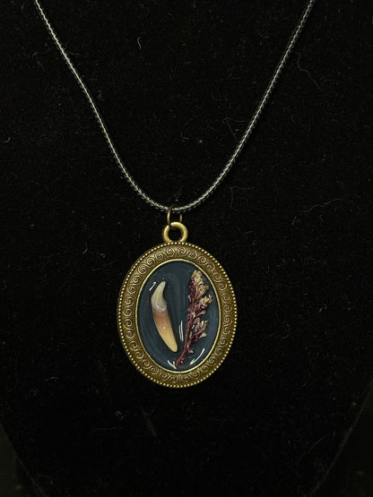 animal teeth necklaces