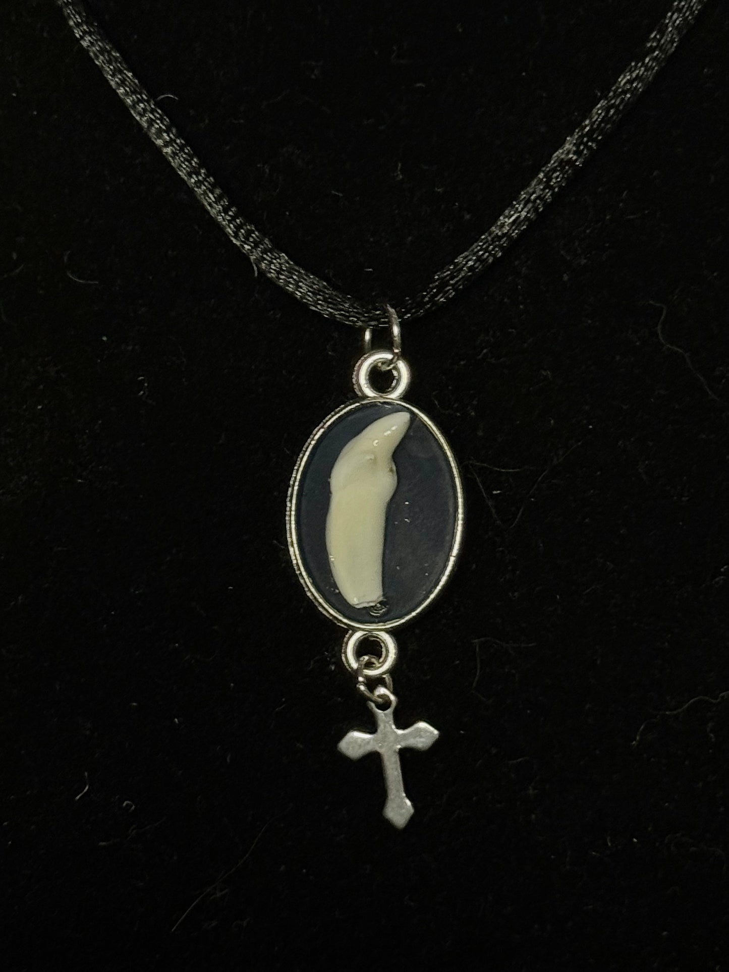 animal teeth necklaces