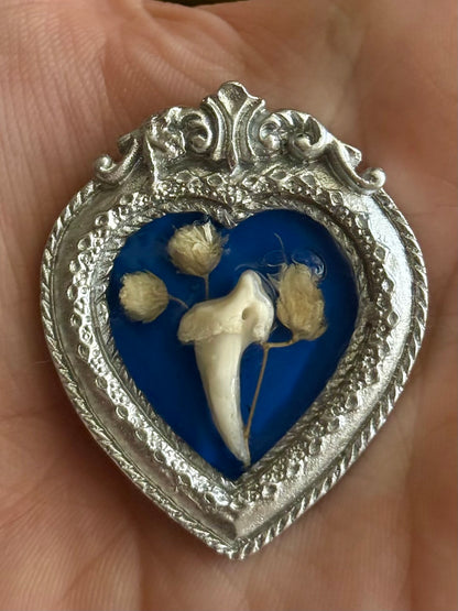 Mini Curio Frame Magnets