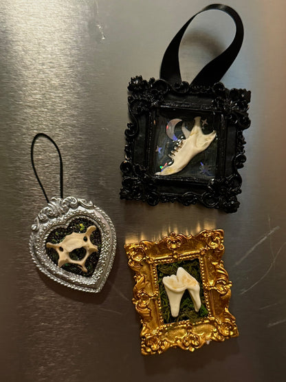 Mini Curio Frame Magnets
