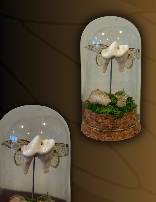 Tooth Fairy