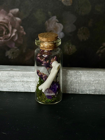 Mini curio jars