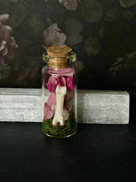 Mini curio jars